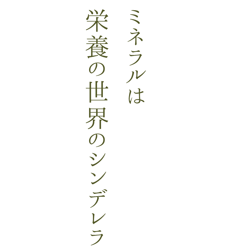 ミネラルは栄養の世界のシンデレラ