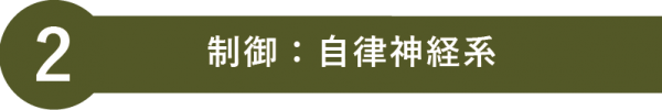 自律神経系